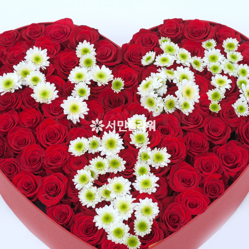 상세이미지