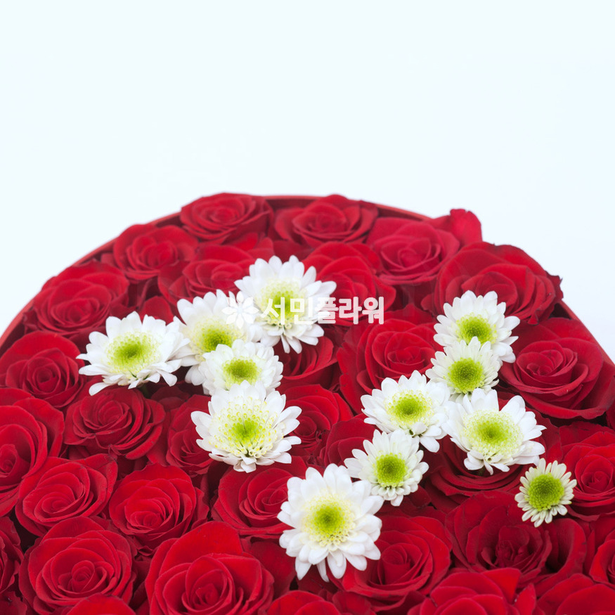 상세이미지