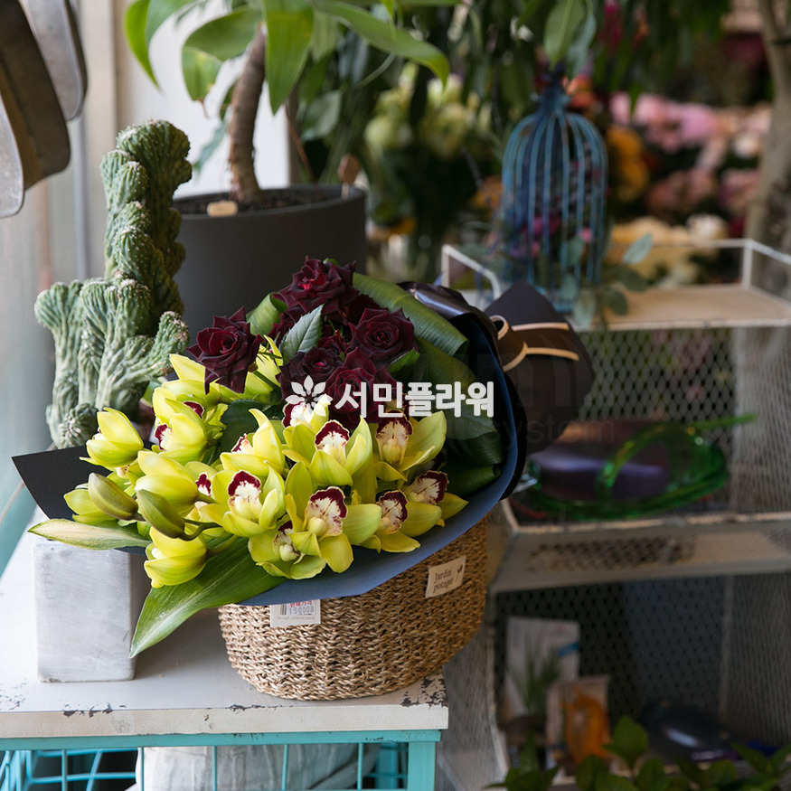 상세이미지