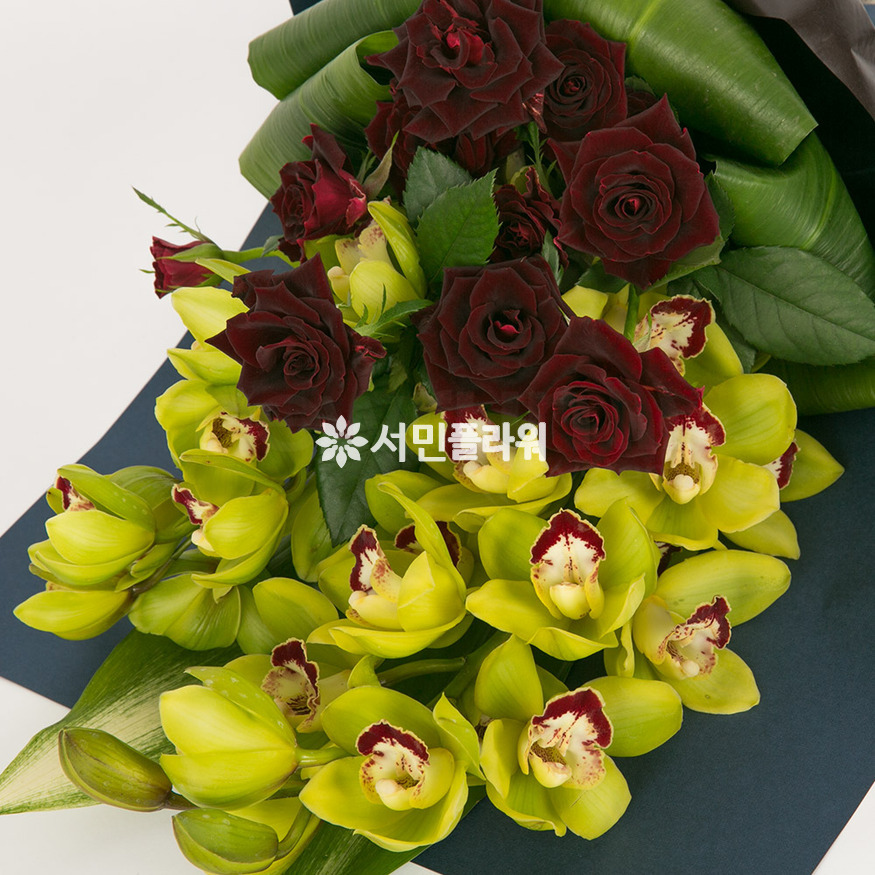 상세이미지
