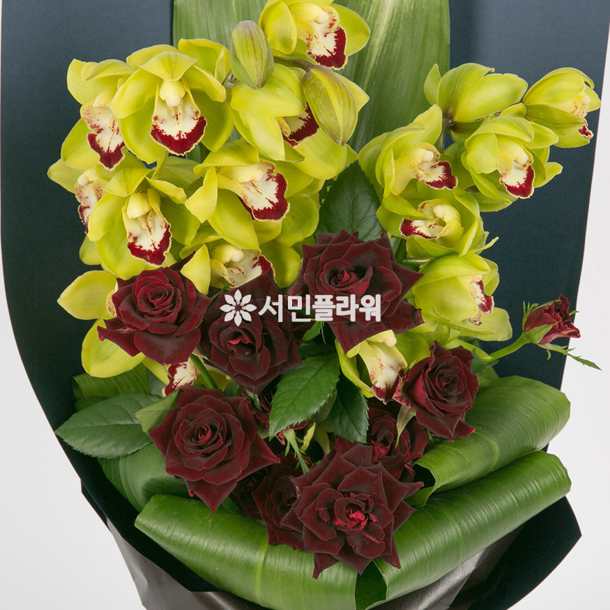 상세이미지
