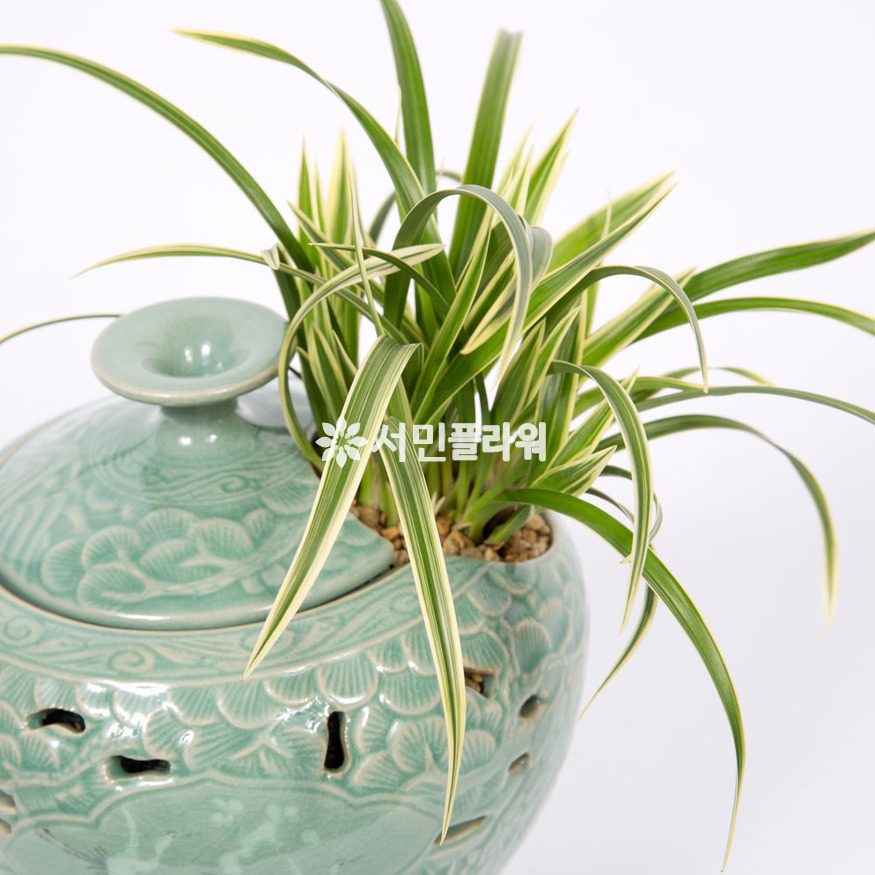상세이미지