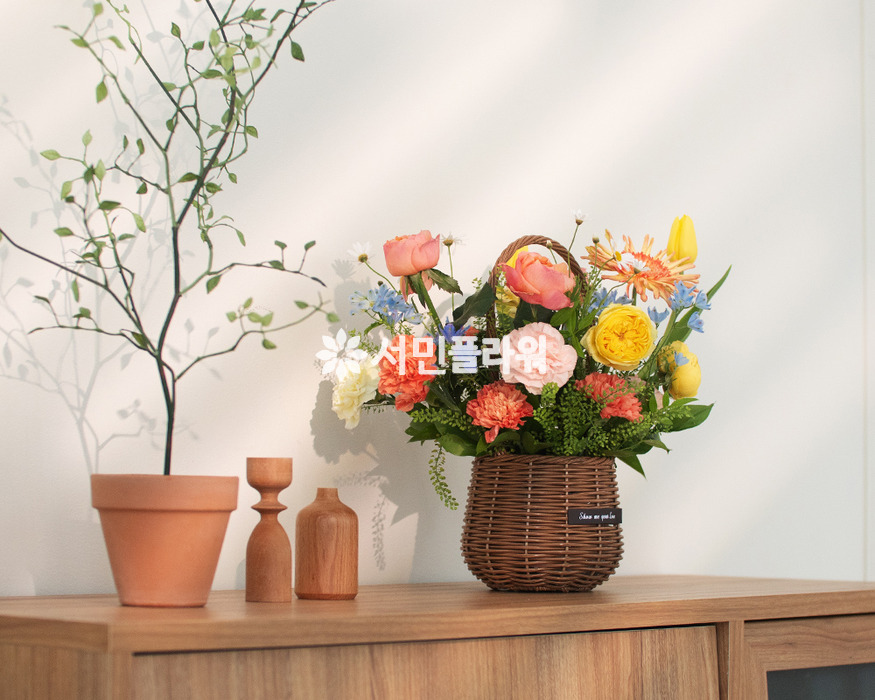 상세이미지