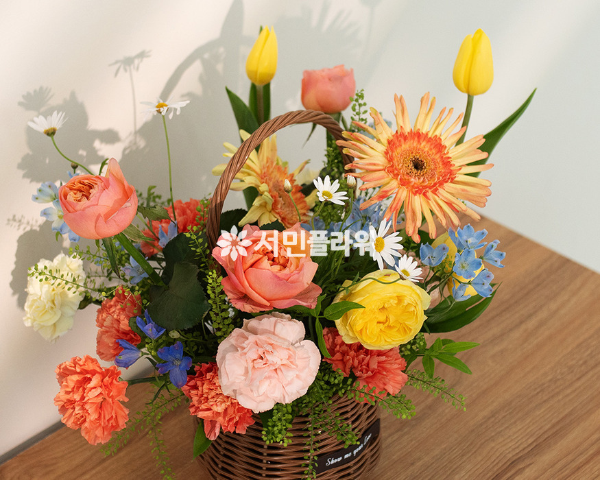 상세이미지