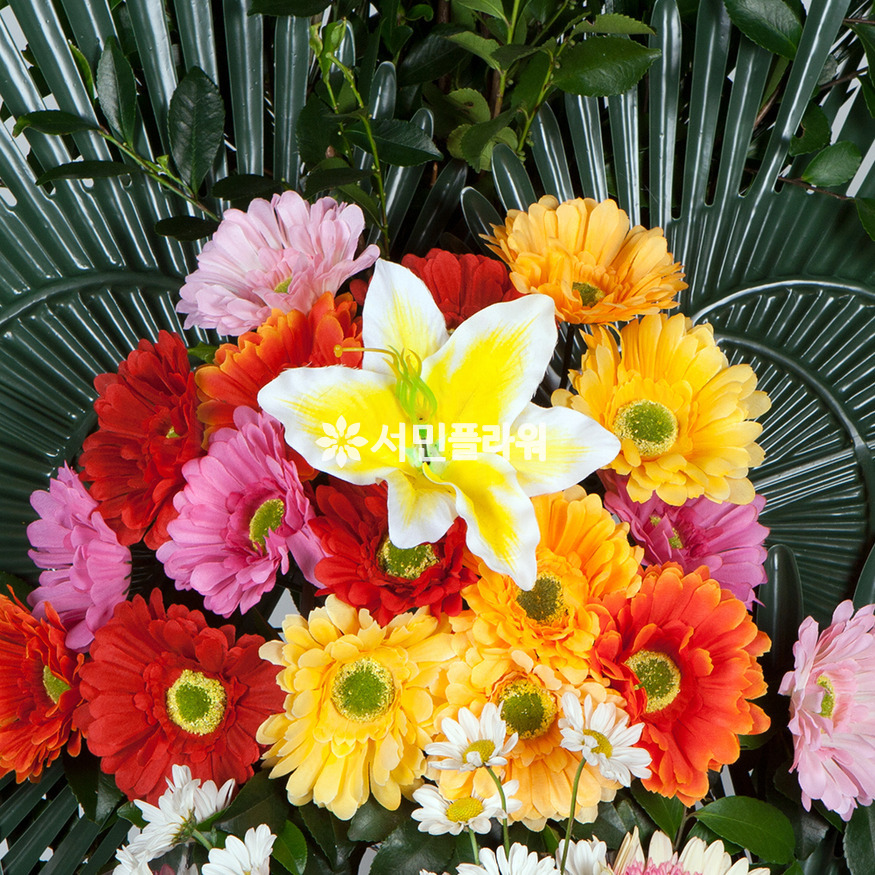 상세이미지