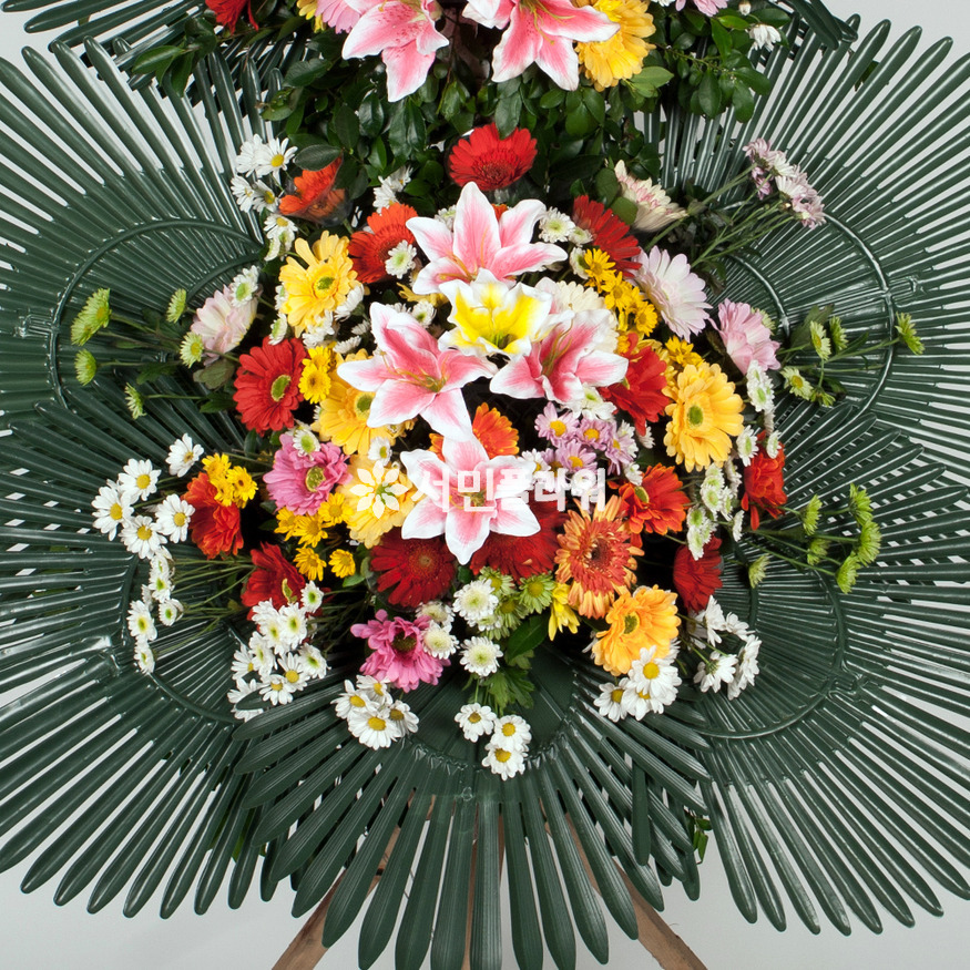 상세이미지