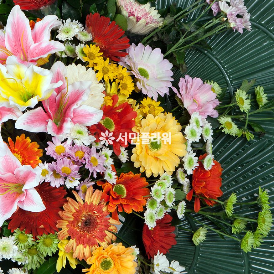 상세이미지