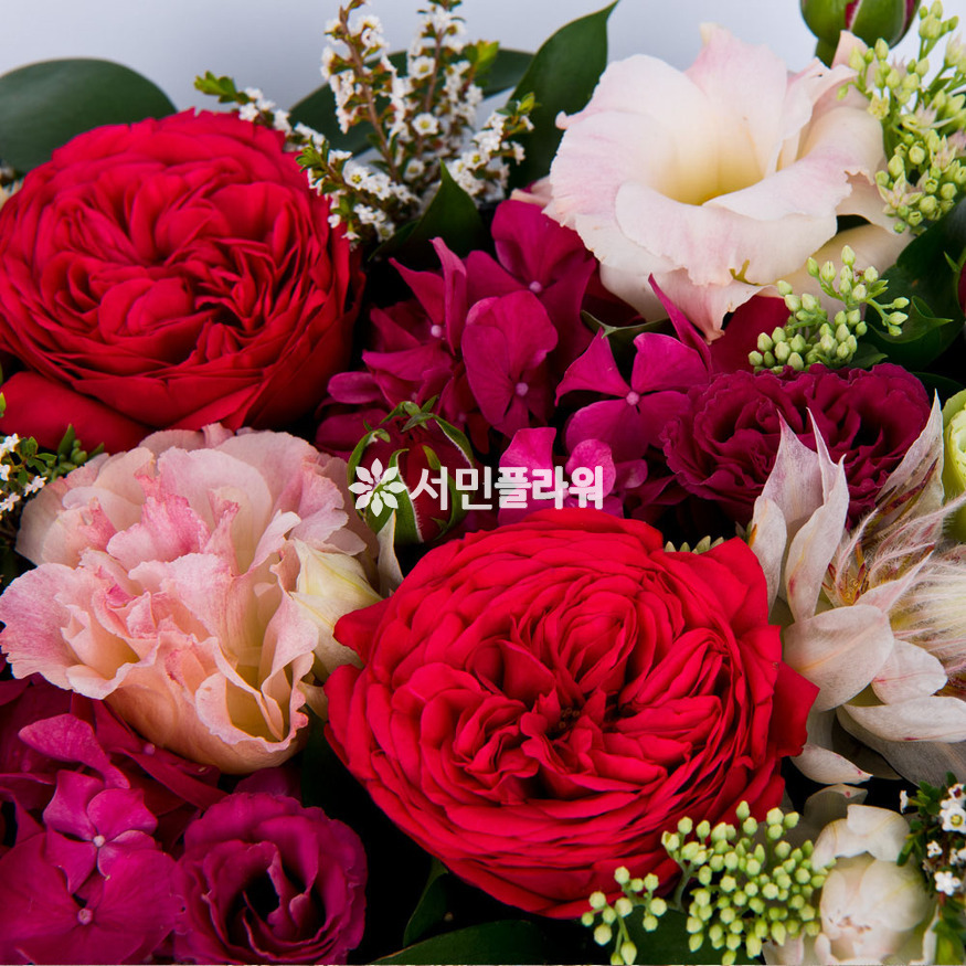 상세이미지