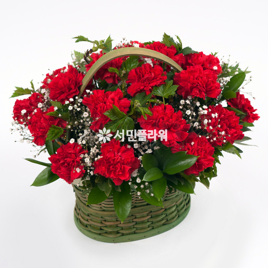 상세이미지