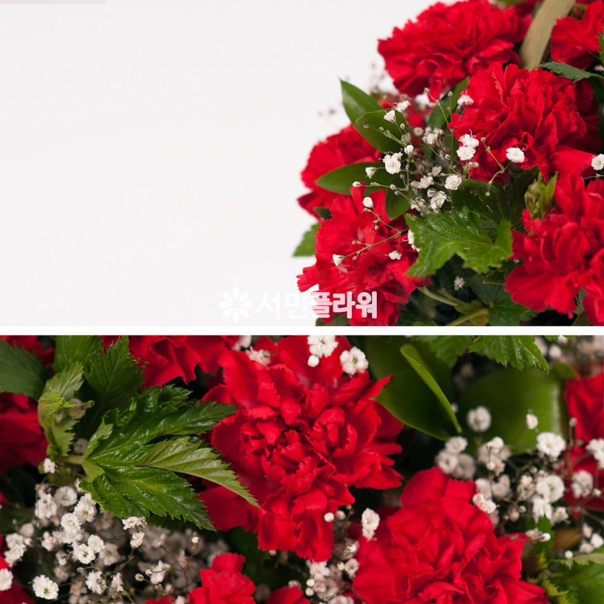 상세이미지