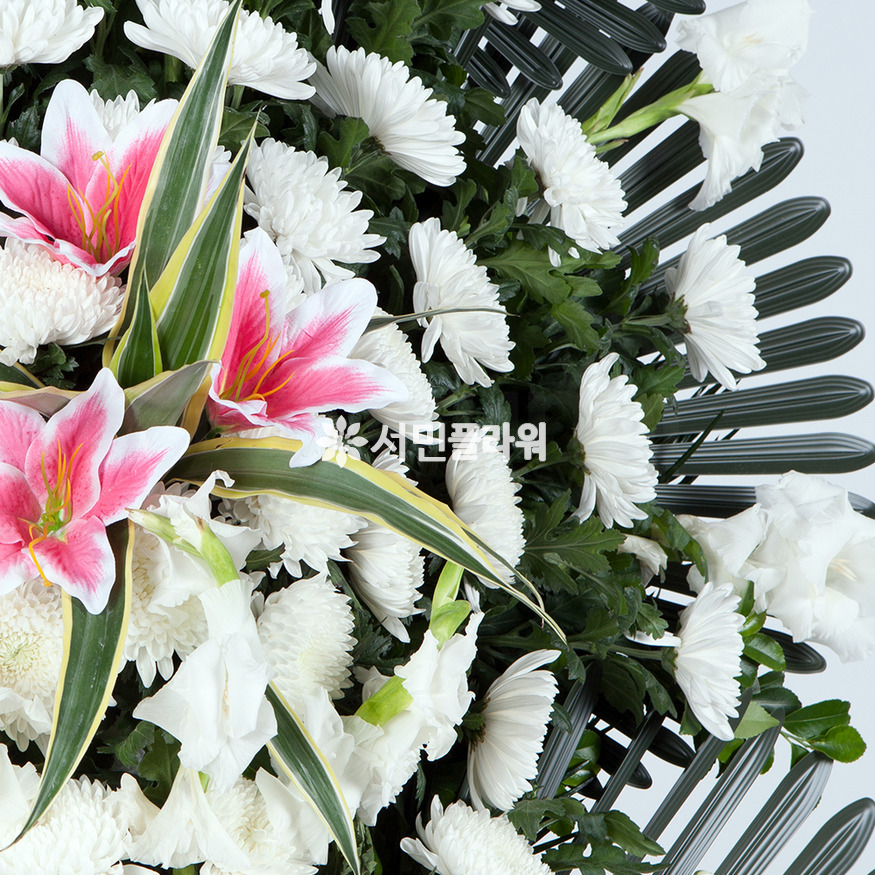상세이미지