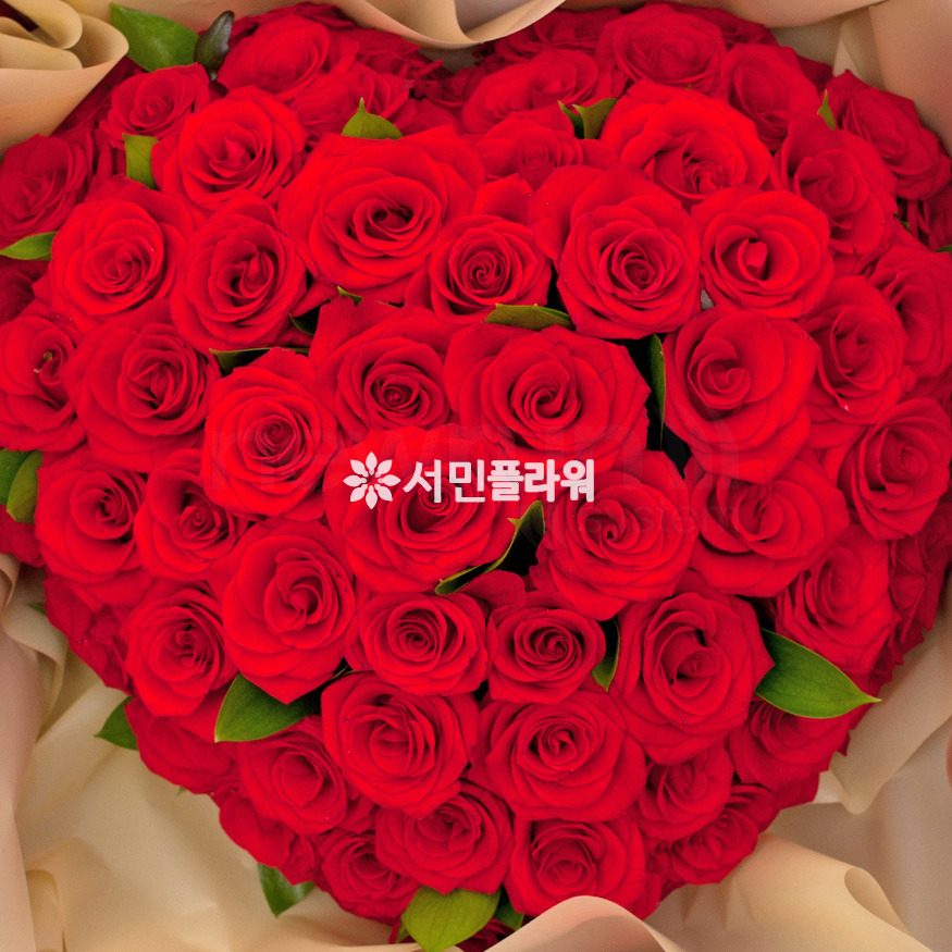 상세이미지
