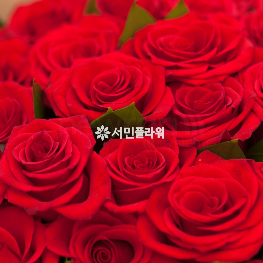 상세이미지