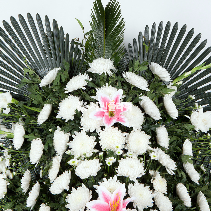 상세이미지