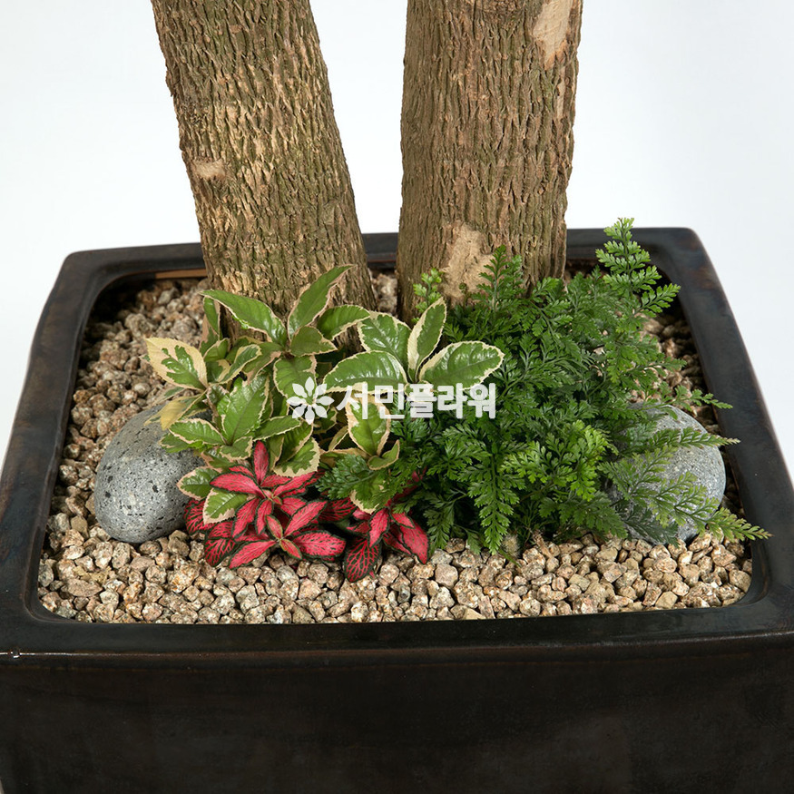 상세이미지