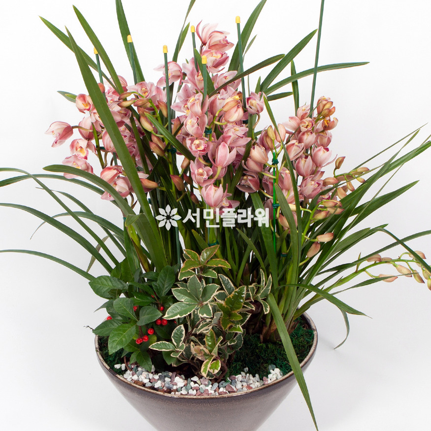 상세이미지