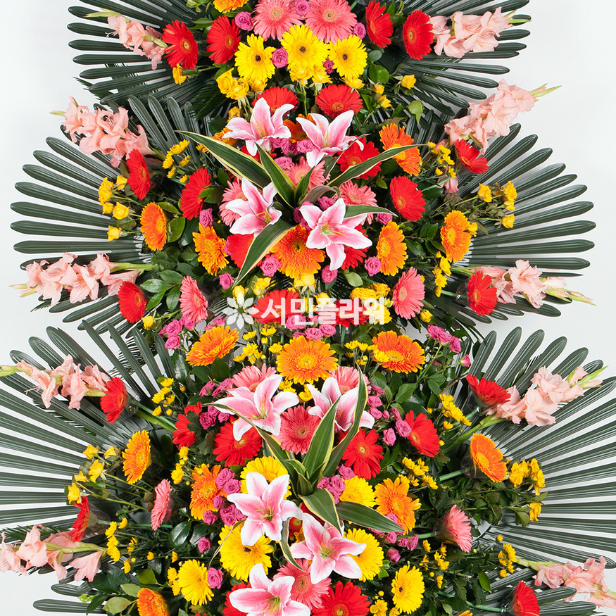상세이미지