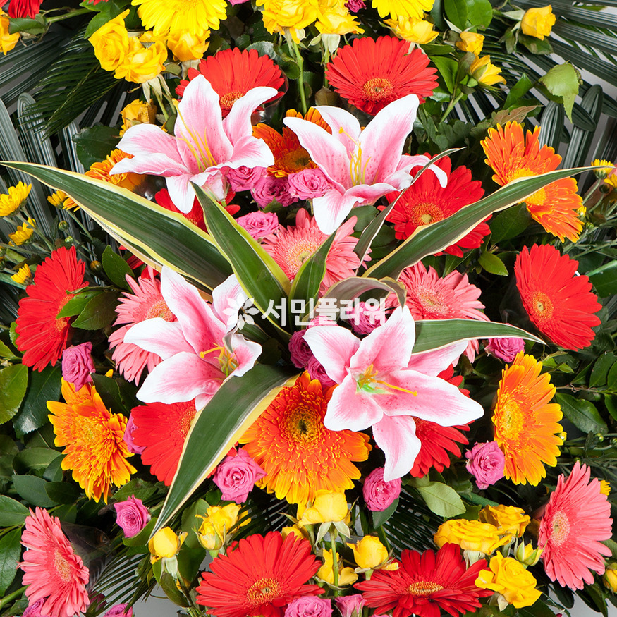 상세이미지