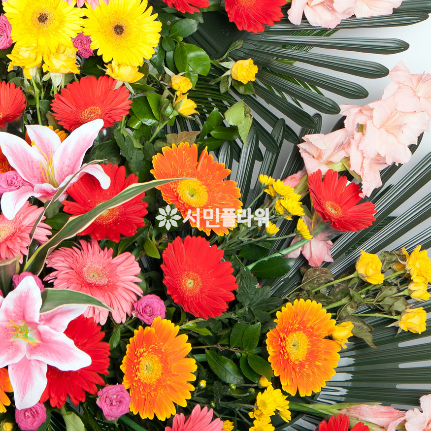 상세이미지