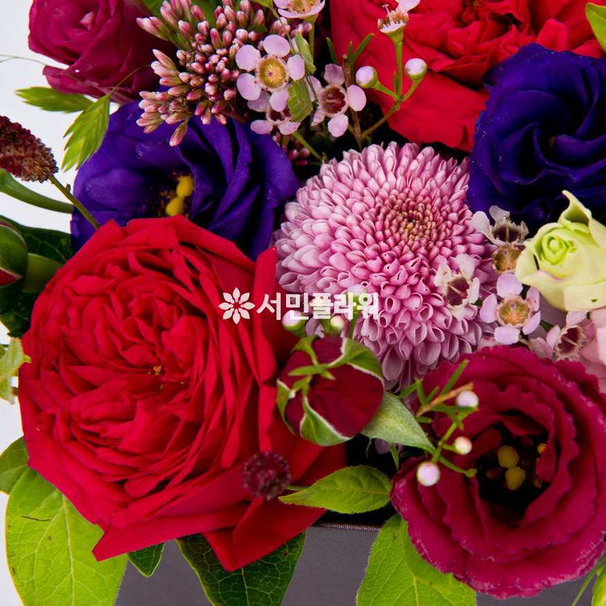 상세이미지