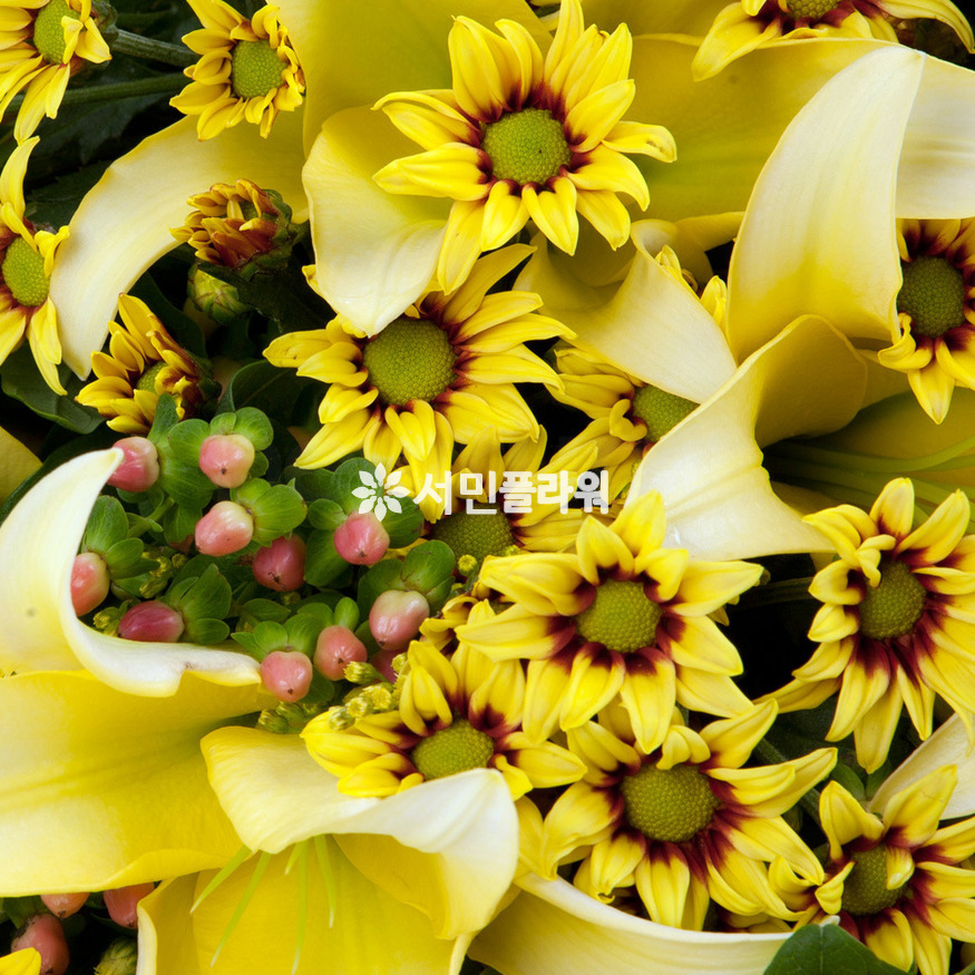 상세이미지