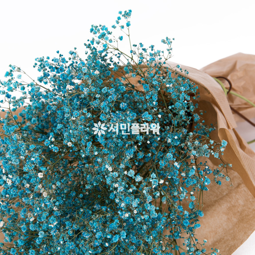 상세이미지