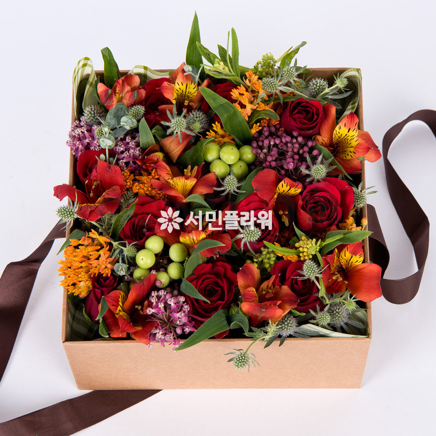 상세이미지