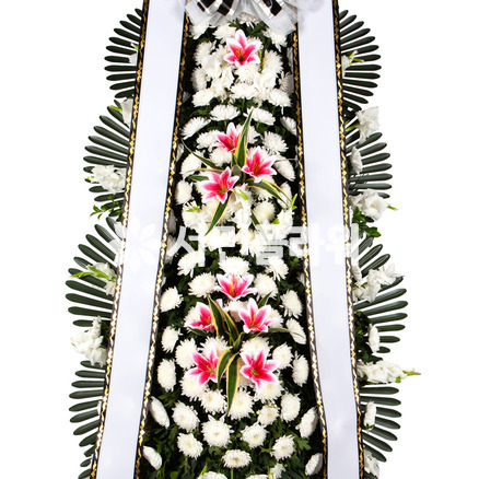 근조3단 추천2(D7856)