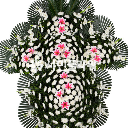 근조5단 특대(D5505)