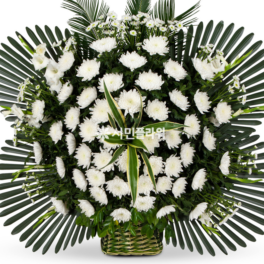 상세이미지