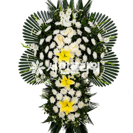 장구2단 고급(D7469)
