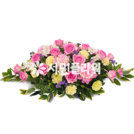 사방화3호