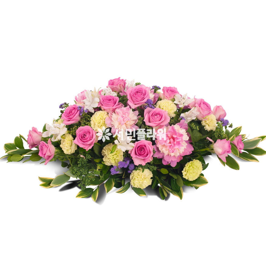 상세이미지