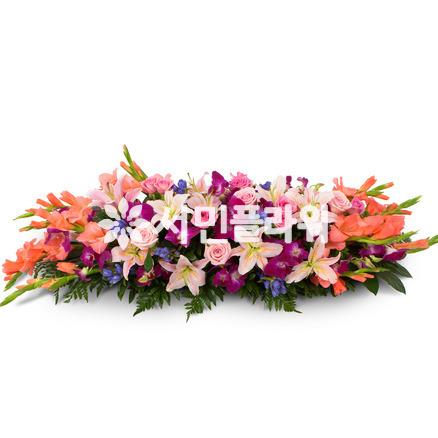 사방화1005