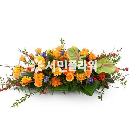 유색계열사방화