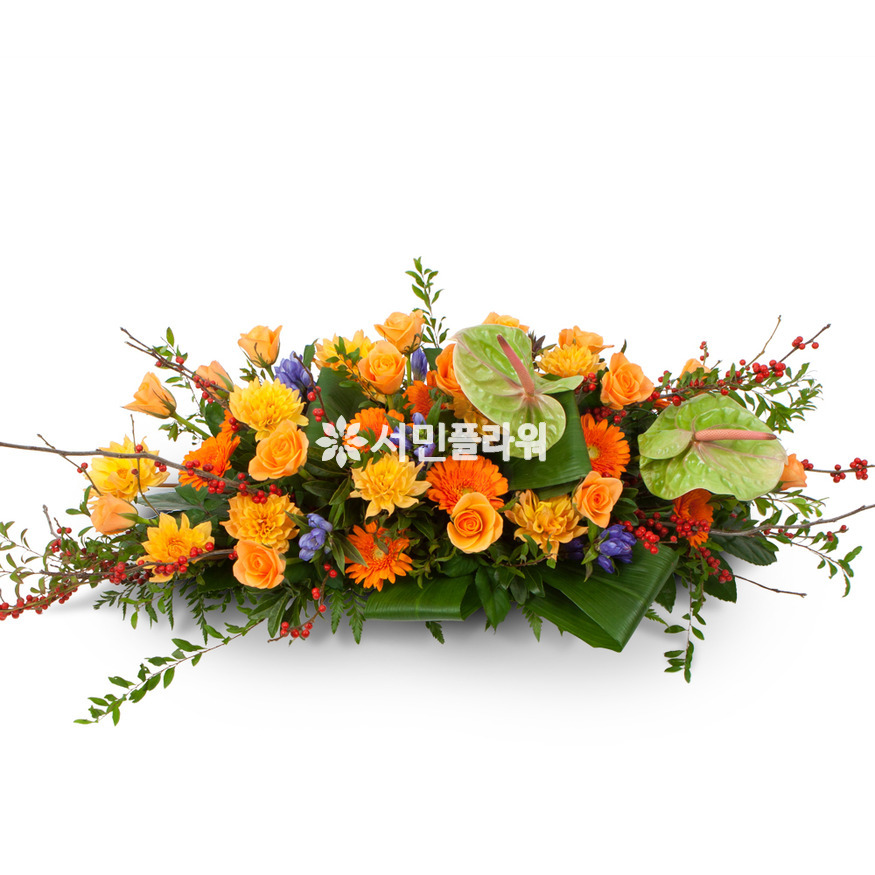 상세이미지