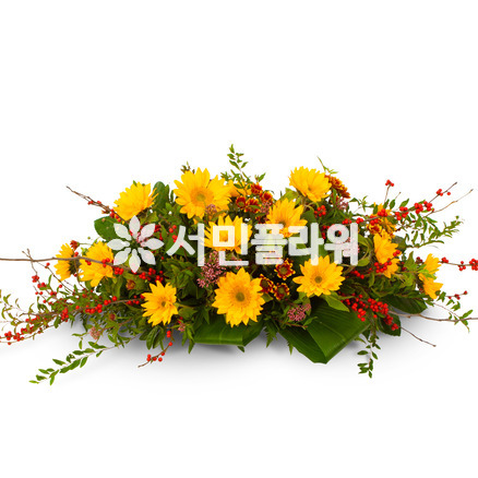 사방화1010