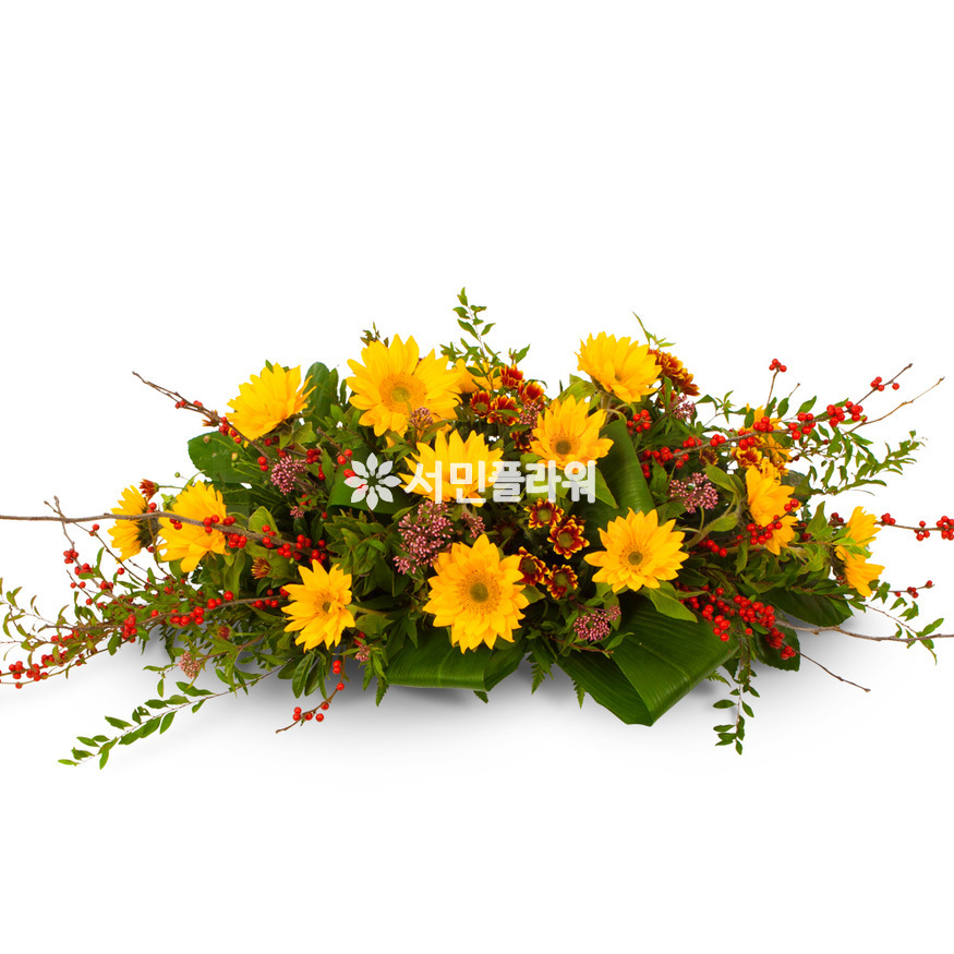 상세이미지