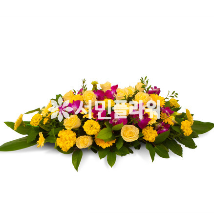 사방화1015