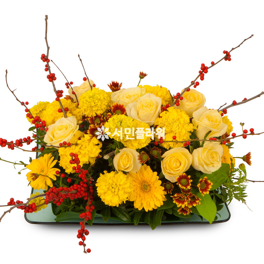 상세이미지