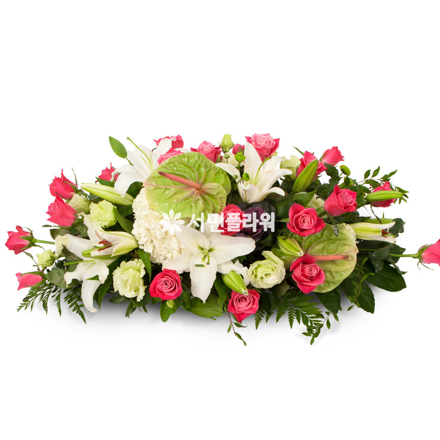 상세이미지