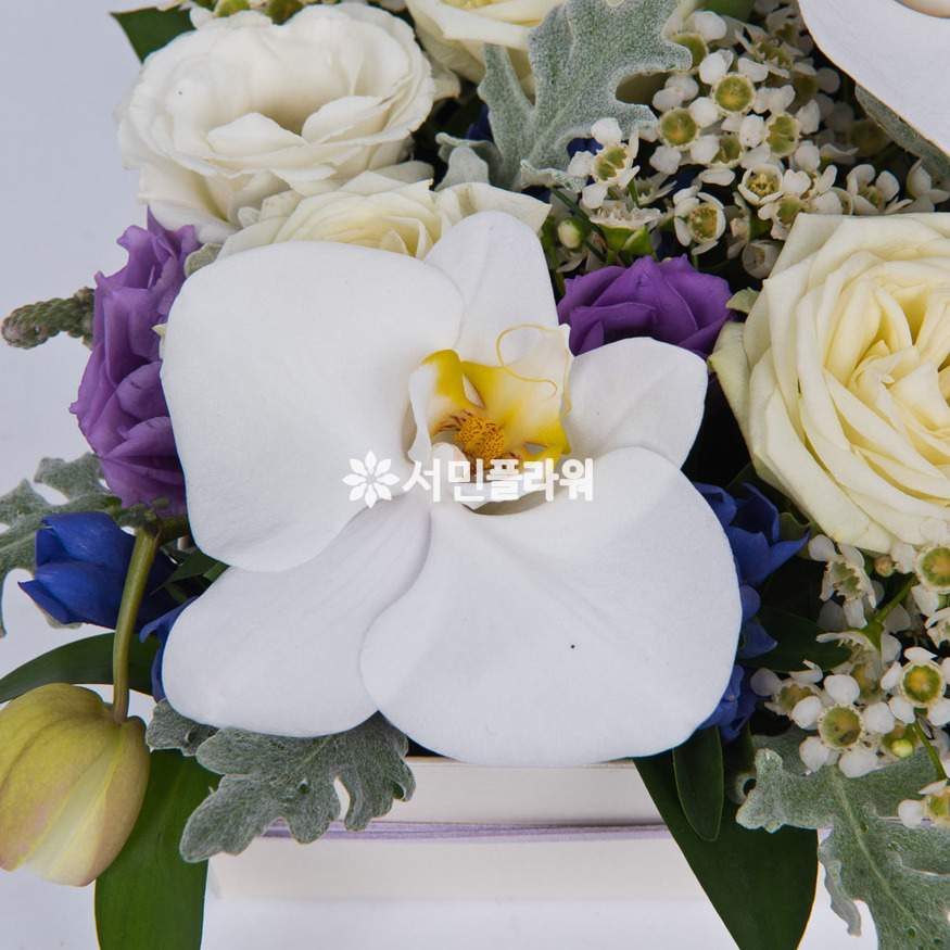 상세이미지