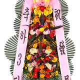 축하3단 프리미엄