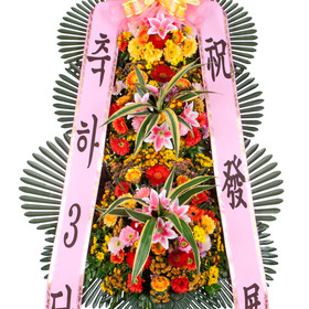 축하3단 정품